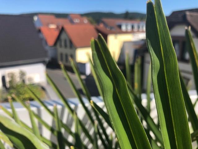 Appartement Wohnen Beim Brotsommelier - Alpenkruste à Darmstadt Extérieur photo